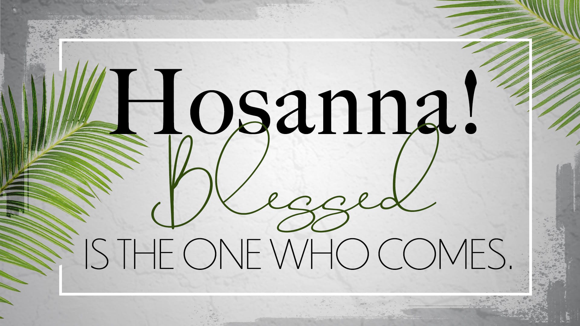 Palm Sunday